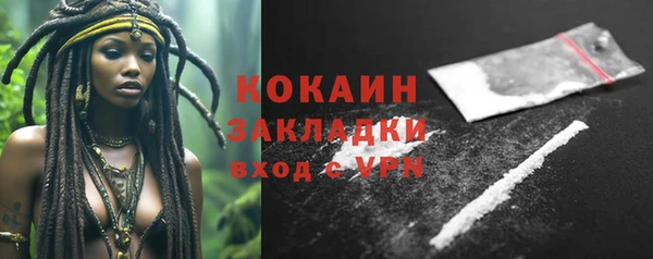 шишки Алексин