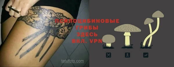 шишки Алексин