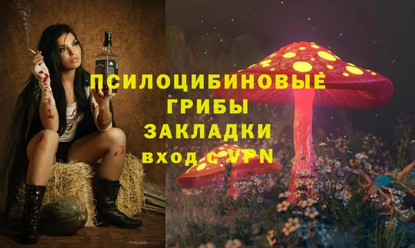 ешки Армянск