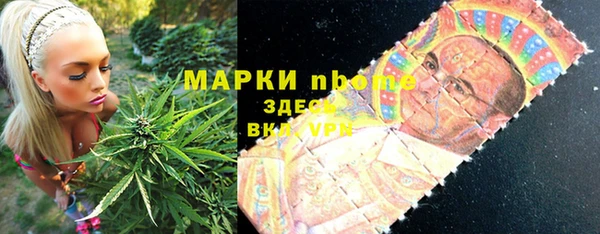 шишки Алексин