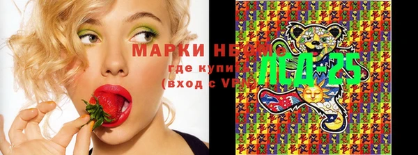 шишки Алексин