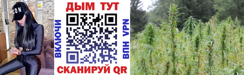 Каннабис VHQ  Рудня 